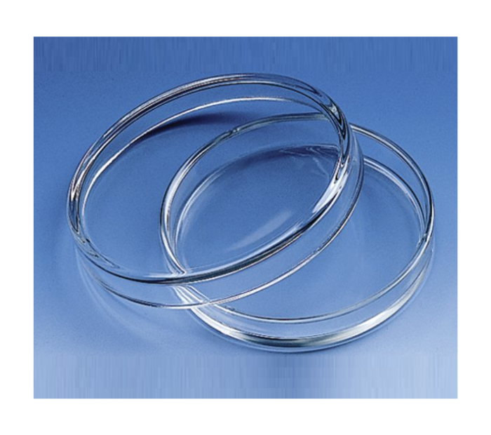 Petri Dishes (Borosilicate Glass) - Image 2